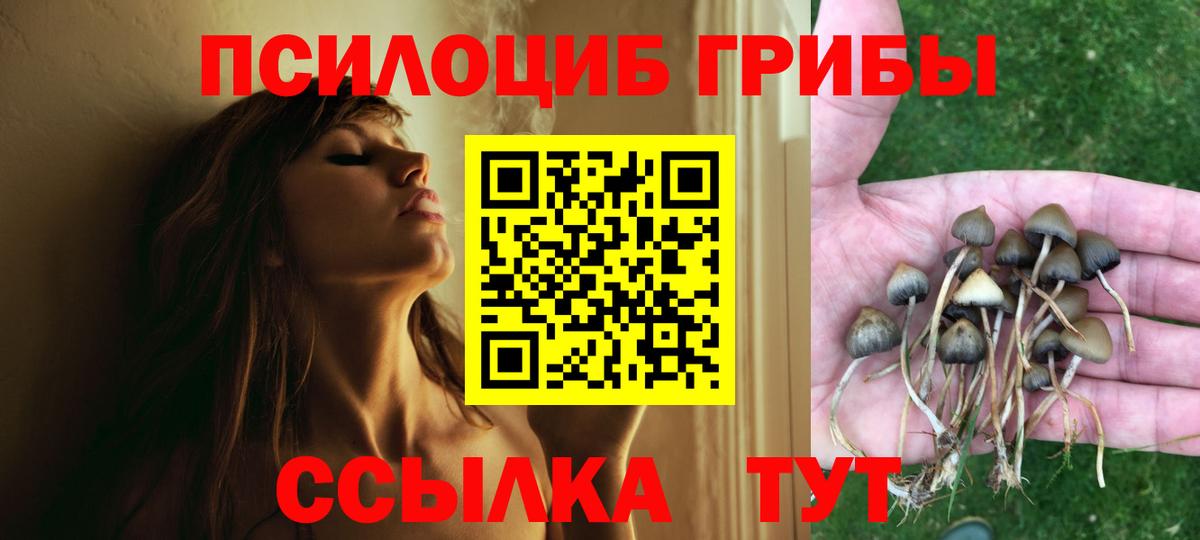 Псилоцибиновые грибы Magic Shrooms Малгобек